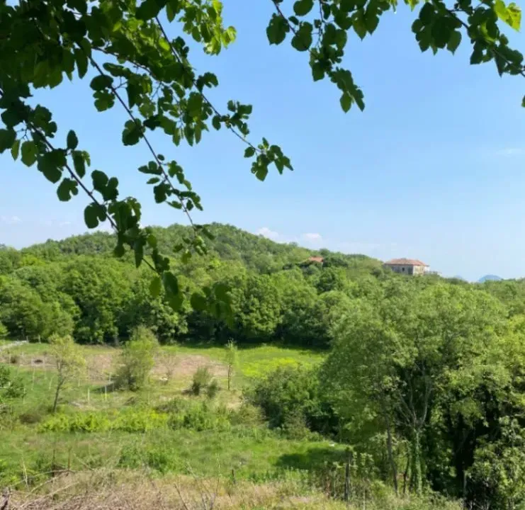 Sale, land lot, 15000m², Valjevo, Srbija