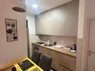 Izdavanje, jednosoban stan, 45m², Zabjelo, Podgorica - image 12