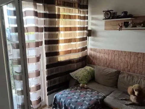 Prodaja, jednosoban stan, 29m², Adice, Novi Sad Sve Podlokacije - image 3