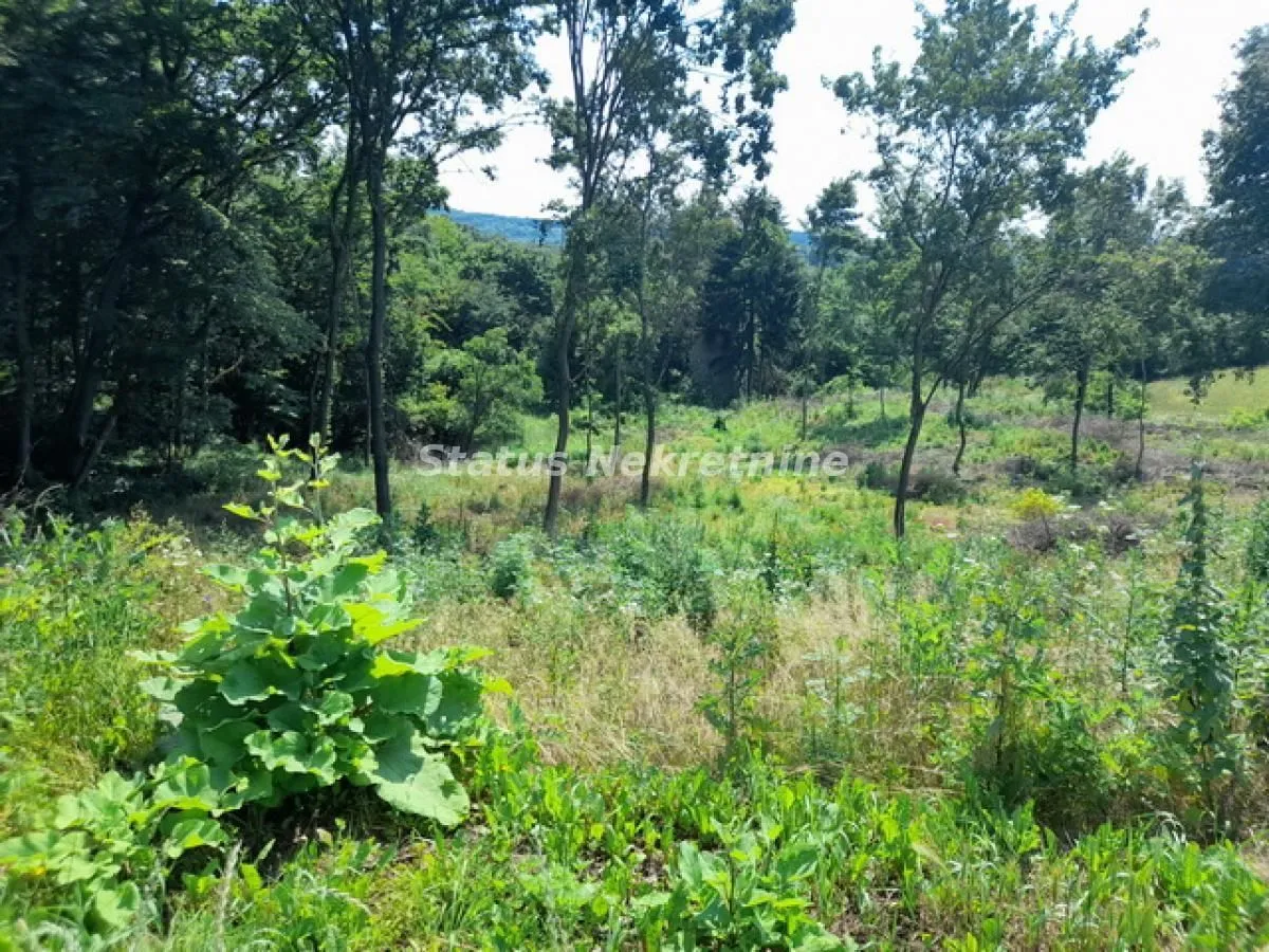 Prodaja, plac, 135m², Banja Vrdnik, Irig