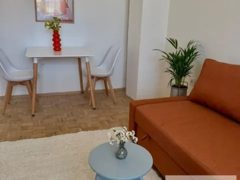 Sale, one bedroom apartment, 32m², Novo naselje, Novi Sad