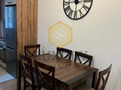 Izdavanje, jednosoban stan, 47m², Gorica C, Podgorica - image 6