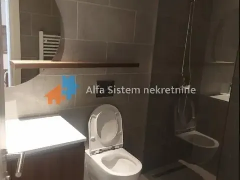 Izdavanje, dvosoban stan, 59m², Savski Venac, Beograd - image 9