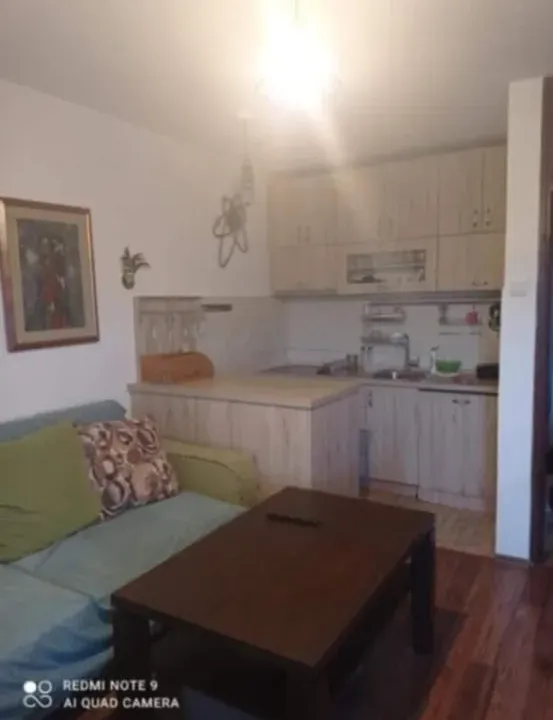 Izdavanje, jednosoban stan, 38m², Centar, Podgorica