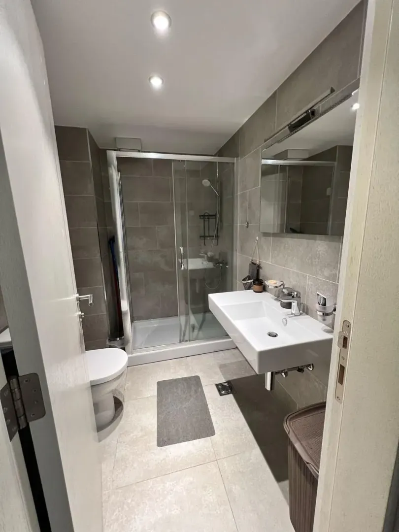Modern bathroom with a shower cabin, washbasin, and toilet.