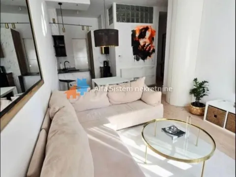 Rent, two bedroom apartment, 42m², Lion, Zvezdara Sve Podlokacije - image 4