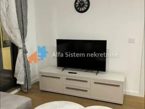 Izdavanje, dvosoban stan, 48m², Novi Beograd Sve Podlokacije, Beograd - image 4