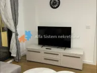 Izdavanje, dvosoban stan, 48m², Novi Beograd Sve Podlokacije, Beograd - image 4