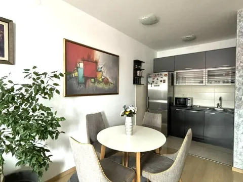 Izdavanje, jednosoban stan, 45m², City Kvart, Podgorica - image 3