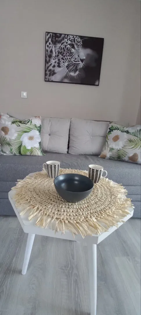 Living room with a gray sofa, coffee table, and decorative pillows.