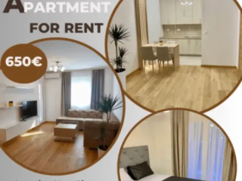 Rent, one bedroom apartment, 46m², New City, Podgorica