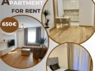 Rent, one bedroom apartment, 46m², New City, Podgorica - image 1