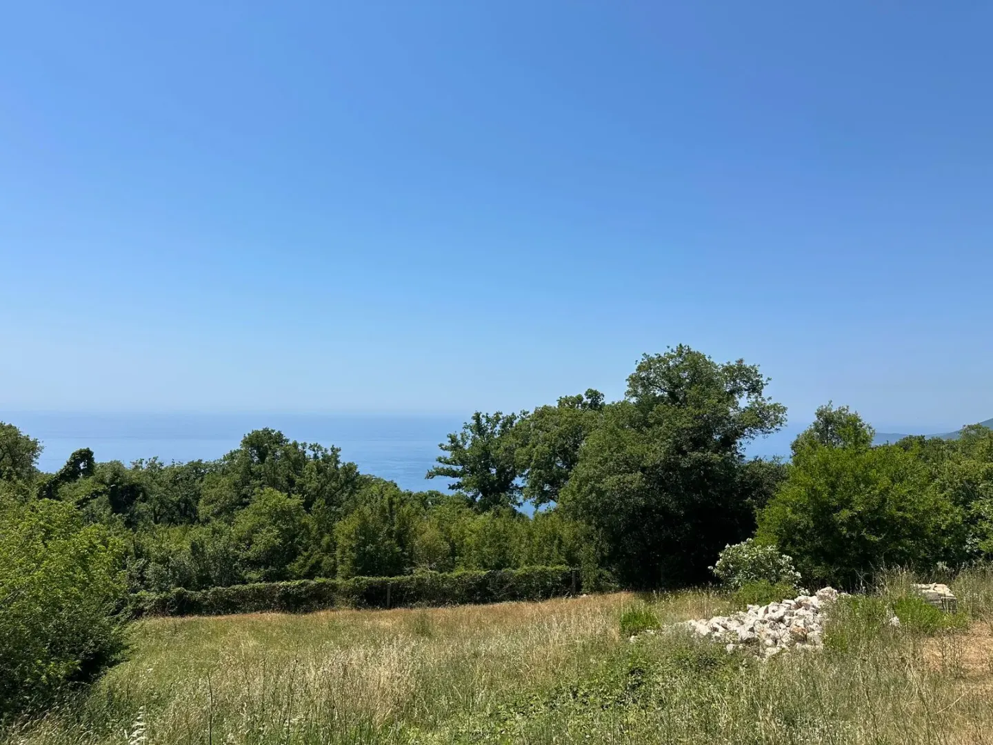 Pogled na more sa parcele sa zelenilom.