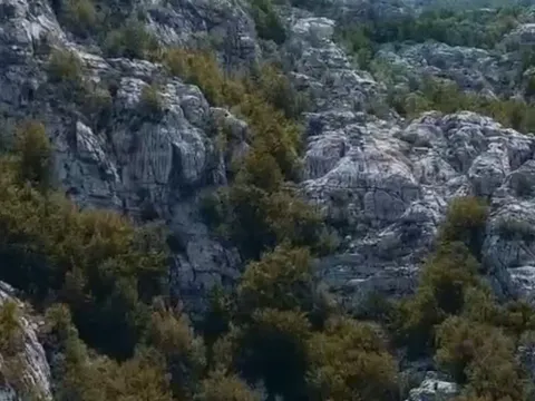 Prodaja, plac, 198000m², Cetinje, Crna Gora - image 7