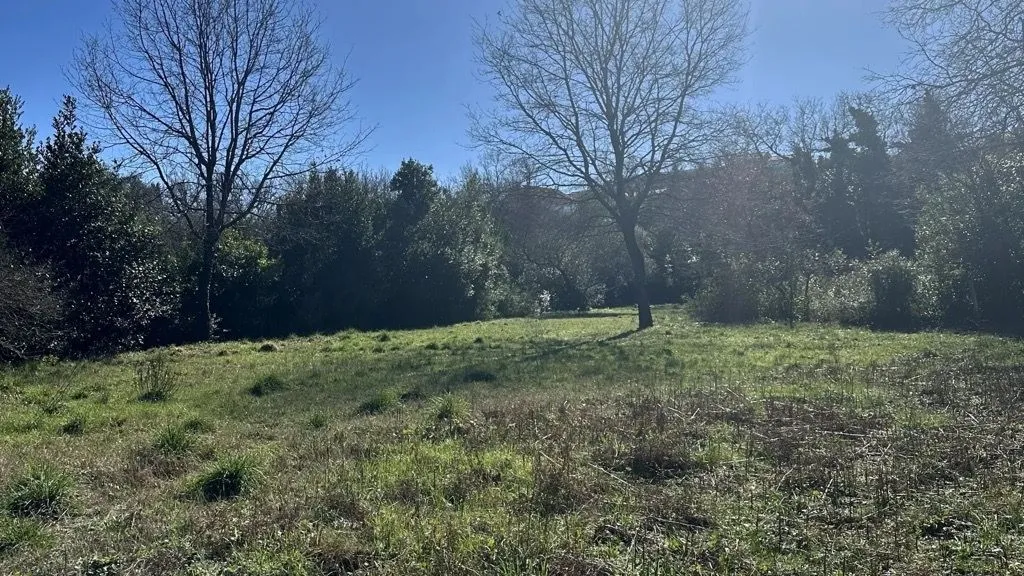 Pogled na zeleni plac sa drvećem i rastinjem.