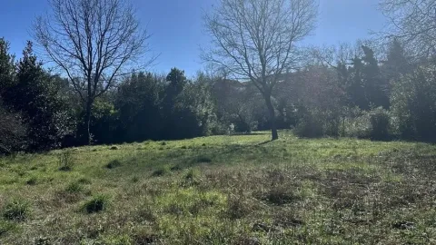 Pogled na zeleni plac sa drvećem i rastinjem. - image 3