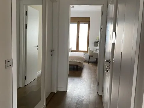 Rent, two bedroom apartment, 42m², Južni Bulevar, Vračar Sve Podlokacije - image 8