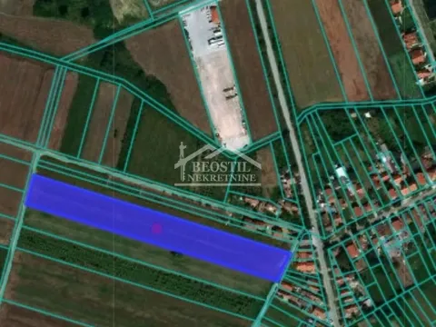 Prodaja, plac, 5300m², Dobanovci, Surčin - image 3