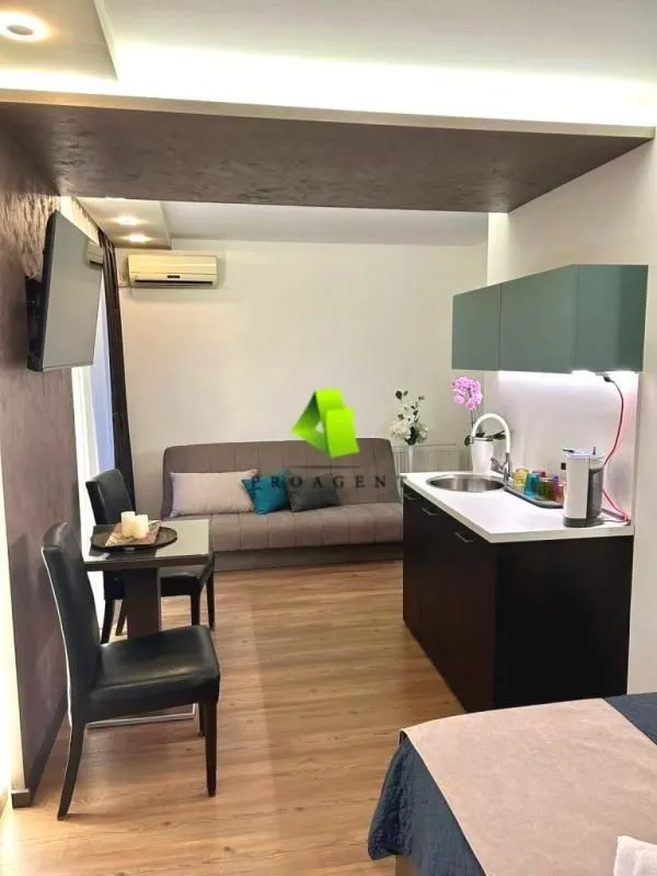 Izdavanje, stan, 25m², Pantelej, Niš