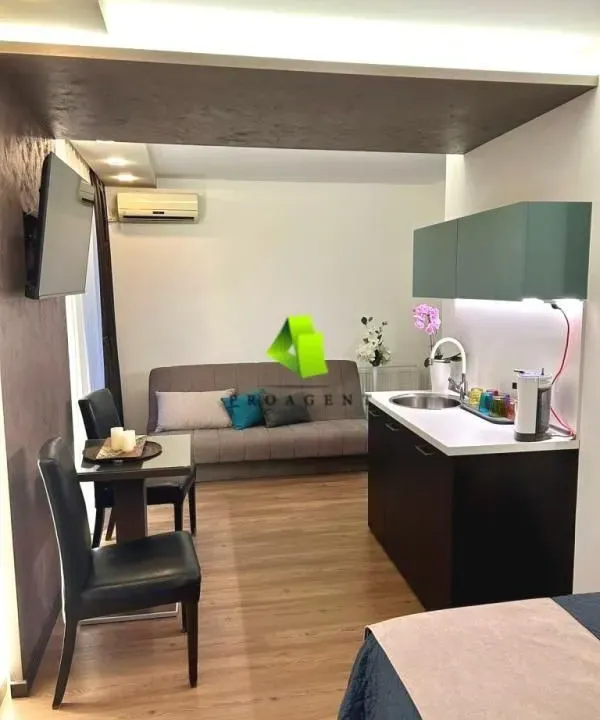 Izdavanje, stan, 25m², Pantelej, Niš