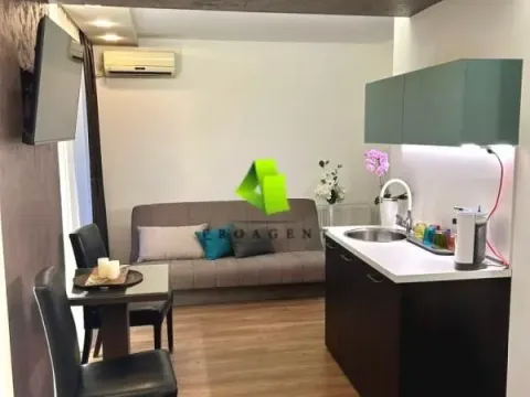 Izdavanje, stan, 25m², Pantelej, Niš