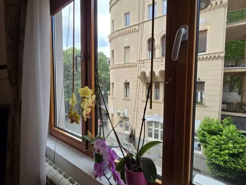 Rent, three bedroom apartment, 86m², Kalenić Pijaca, Vračar Sve Podlokacije - image 8