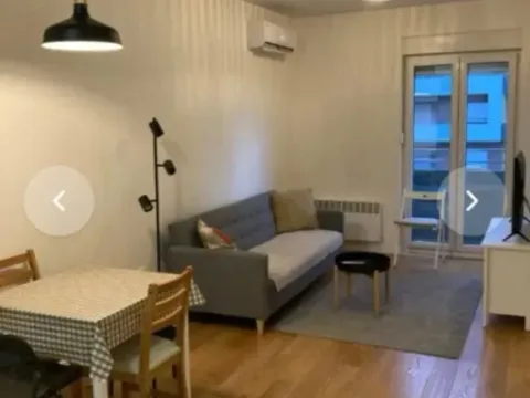 Prodaja, jednosoban stan, 40m², Central Point, Podgorica - image 2