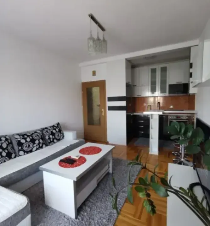 Izdavanje, jednosoban stan, 45m², Zabjelo, Podgorica