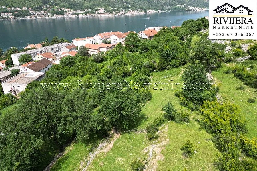 Prodaja, plac, 3226m², Dobrota, Kotor