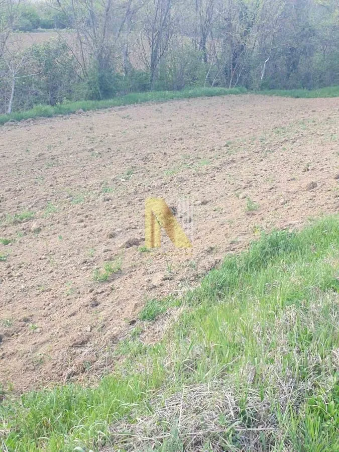 Prodaja, plac, 500m², Novi Sad, Srbija