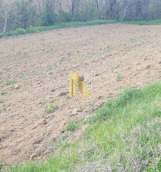 Prodaja, plac, 500m², Novi Sad, Srbija