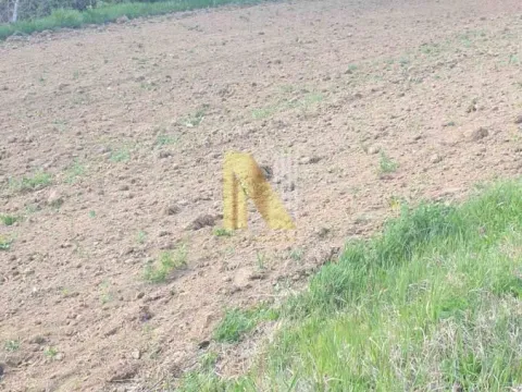 Prodaja, plac, 500m², Novi Sad, Srbija - image 1