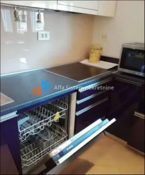 Izdavanje, dvosoban stan, 85m², Vračar Centar, Vračar Sve Podlokacije - image 7