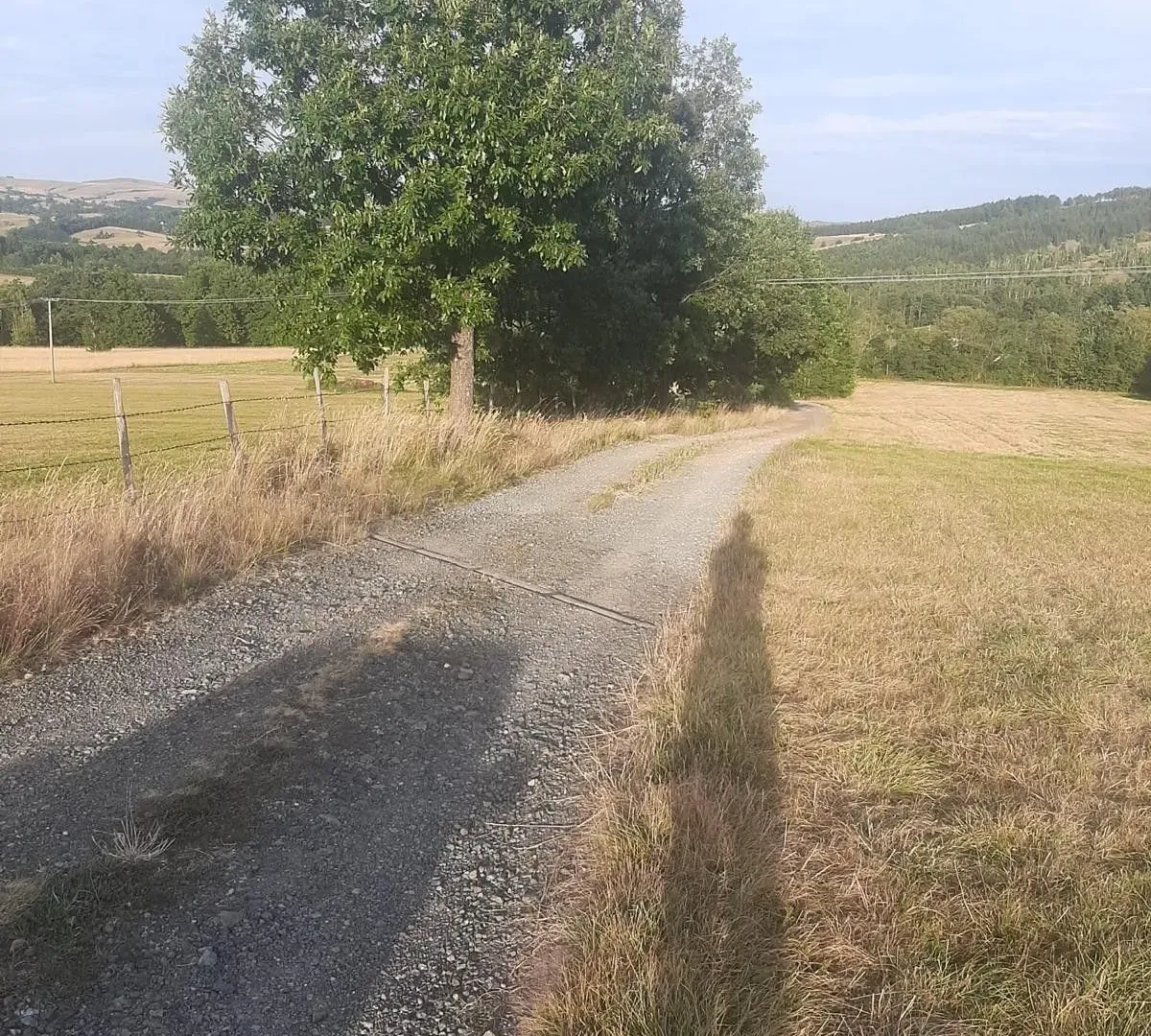 Prodaja, plac, 1000m², Tometino Polje, Požega