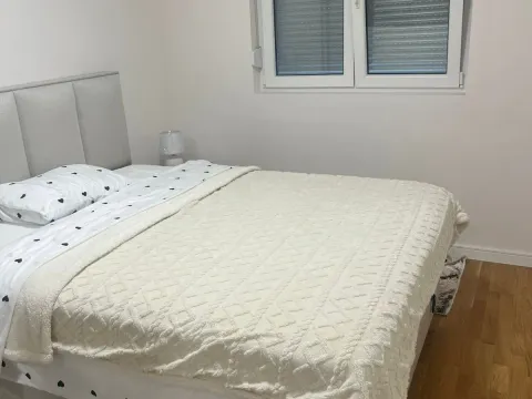 Rent, one bedroom apartment, 41m², Pobrežje, Podgorica - image 8