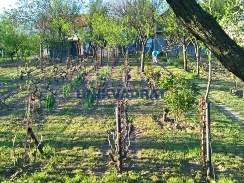 Sale, house, 90m², Novi Slankamen, Inđija