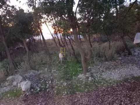 Sale, land lot, 10m², Kruče, Ulcinj