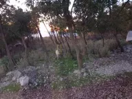 Prodaja, plac, 10m², Kruče, Ulcinj - image 1