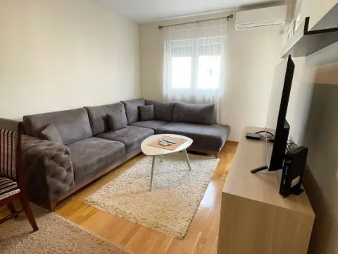 Izdavanje, jednosoban stan, 44m², Zagorič, Podgorica - image 1