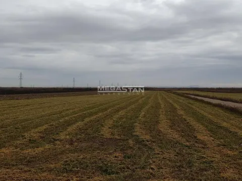 Prodaja, plac, 6130m², Batajnica, Beograd - image 6