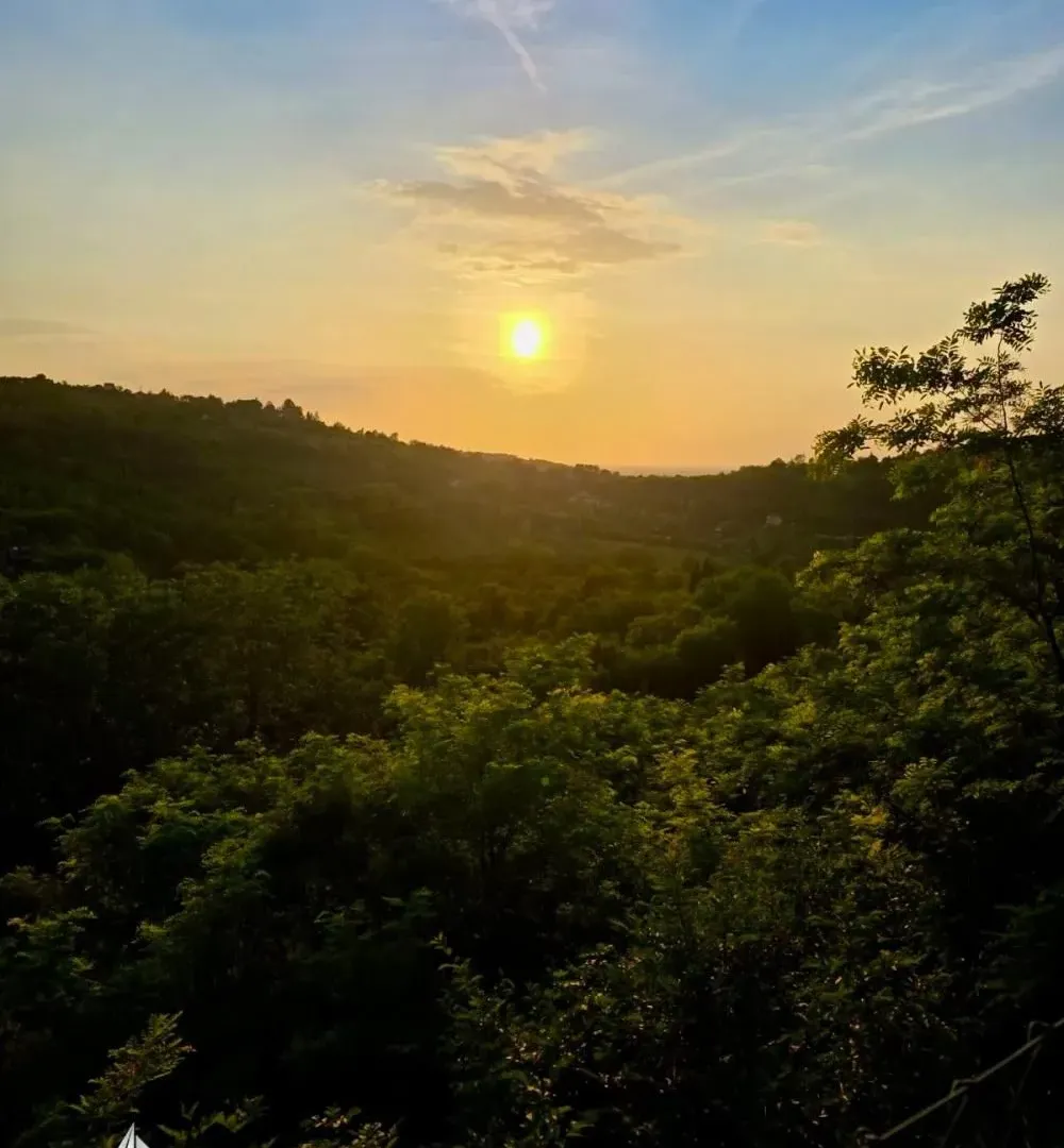 Prodaja, plac, 3729m², Artiljevo, Petrovaradin