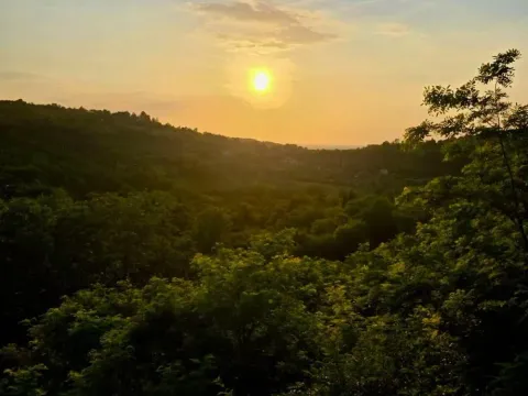 Prodaja, plac, 3729m², Artiljevo, Petrovaradin - image 2