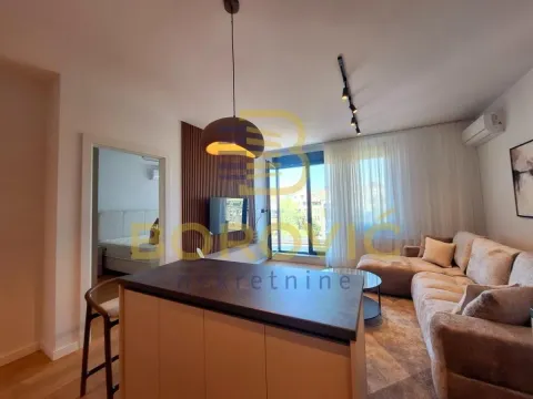 Izdavanje, dvosoban stan, 50m², Crveni Krst, Beograd - image 6