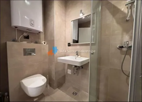 Izdavanje, dvosoban stan, 60m², Hala Pionir, Palilula Sve Podlokacije - image 8