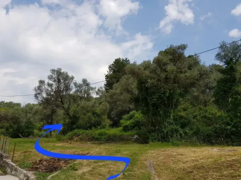 Prodaja, plac, 1509m², Tivat, Crna Gora - image 4