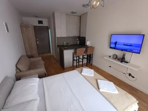 Daily-rent, one bedroom apartment, 28m², Zabjelo, Podgorica - image 2
