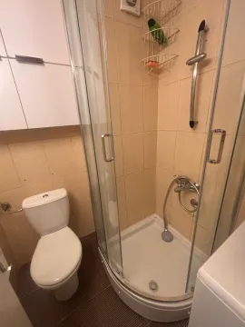 Manje kupatilo sa tuš kabinom i toaletom. - image 13