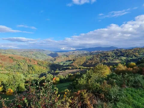 Sale, house, 42m², Mojkovac, Crna Gora - image 6