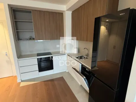 Izdavanje, dvosoban stan, 60m², Savski Venac, Beograd - image 5