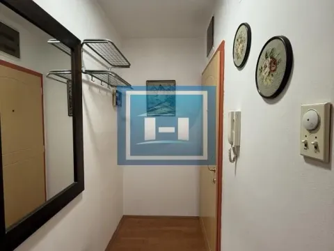 Izdavanje, jednosoban stan, 45m², Pivara, Jagodina - image 10